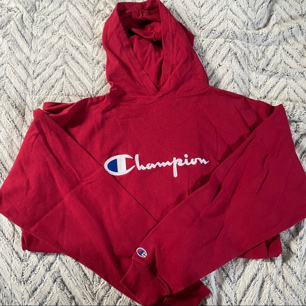 Vintage champion hoodie